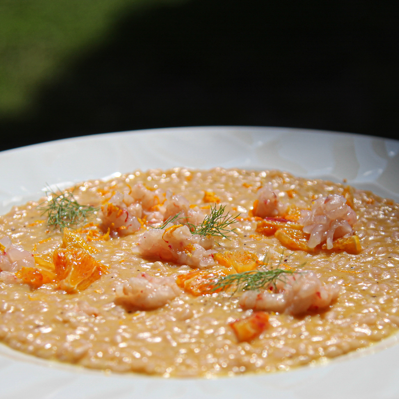 Risotto all'arancia e battuta di gambero rosso 